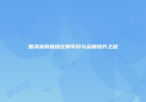 普洱茶的最佳饮用年份与品质提升之道
