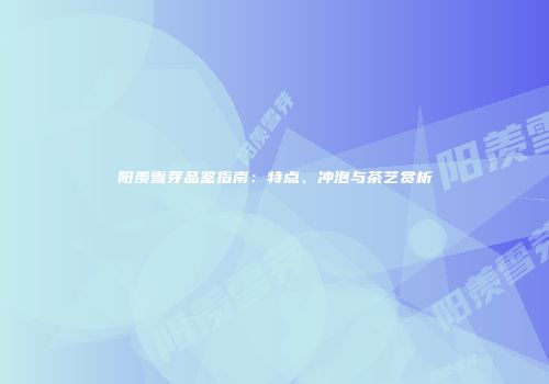 阳羡雪芽品鉴指南：特点、冲泡与茶艺赏析