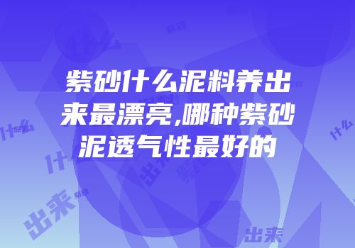 紫砂什么泥料养出来最漂亮,哪种紫砂泥透气性最好的