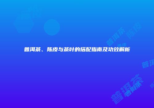 普洱茶、陈皮与茶叶的搭配指南及功效解析