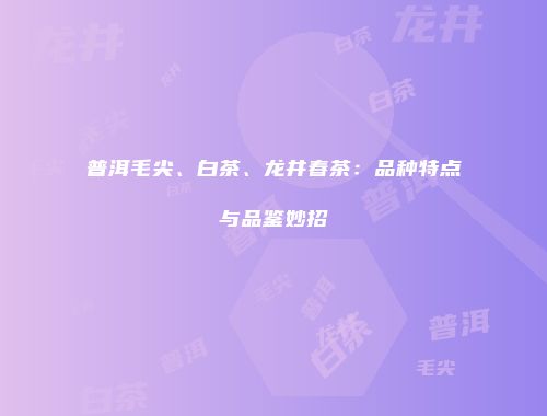 普洱毛尖、白茶、龙井春茶：品种特点与品鉴妙招