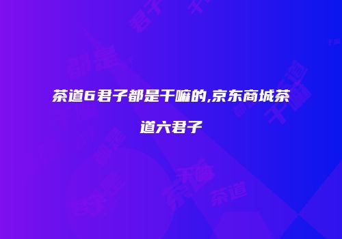 茶道6君子都是干嘛的,京东商城茶道六君子