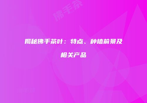揭秘佛手茶叶：特点、种植前景及相关产品