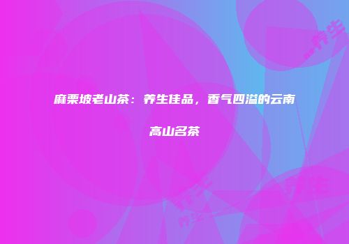 麻栗坡老山茶：养生佳品，香气四溢的云南高山名茶