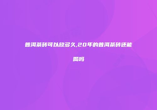 普洱茶砖可以放多久,20年的普洱茶砖还能喝吗