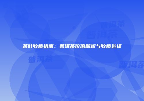 茶叶收藏指南：普洱茶价值解析与收藏选择