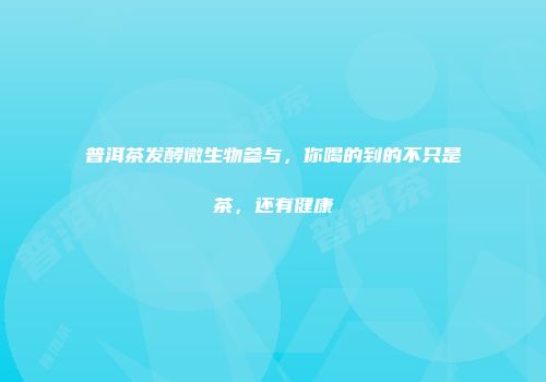 普洱茶发酵微生物参与，你喝的到的不只是茶，还有健康
