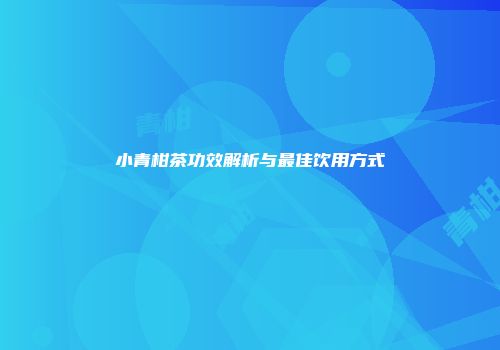小青柑茶功效解析与最佳饮用方式
