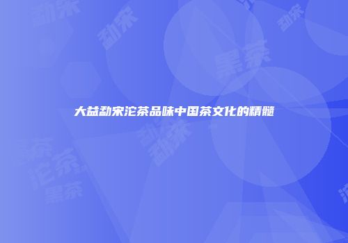 大益勐宋沱茶品味中国茶文化的精髓