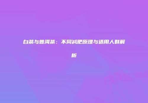 白茶与普洱茶：不同减肥原理与适用人群解析