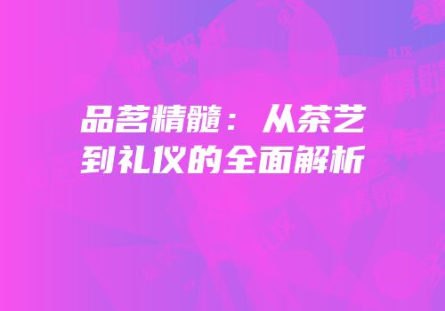 品茗精髓：从茶艺到礼仪的全面解析