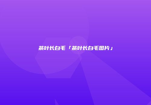 茶叶长白毛「茶叶长白毛图片」