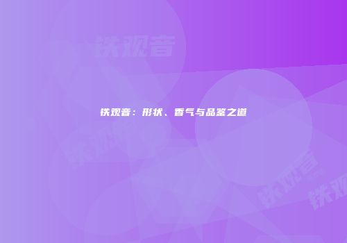 铁观音：形状、香气与品鉴之道