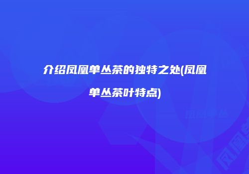 介绍凤凰单丛茶的独特之处(凤凰单丛茶叶特点)