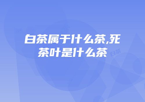 白茶属于什么茶,死茶叶是什么茶