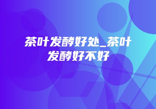 茶叶发酵好处_茶叶发酵好不好