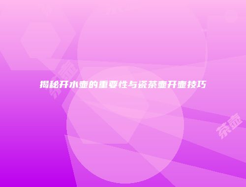 揭秘开水壶的重要性与瓷茶壶开壶技巧
