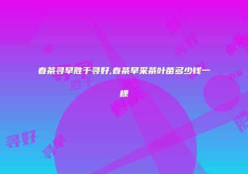 春茶寻早胜于寻好,春茶早采茶叶苗多少钱一棵