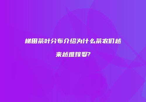 梯田茶叶分布介绍为什么茶农们越来越难嫁娶?