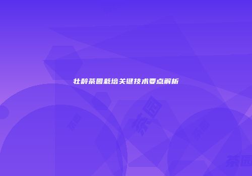 壮龄茶园栽培关键技术要点解析