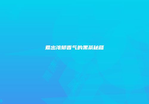 煮出浓郁香气的黑茶秘籍