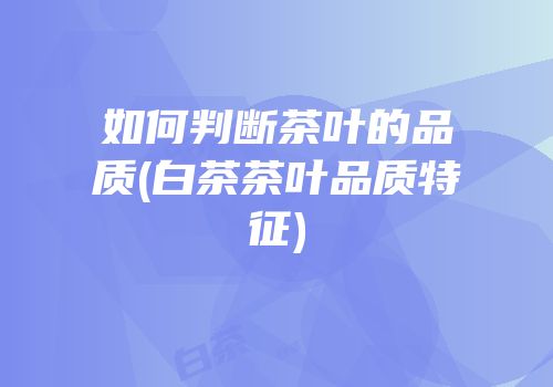 如何判断茶叶的品质(白茶茶叶品质特征)