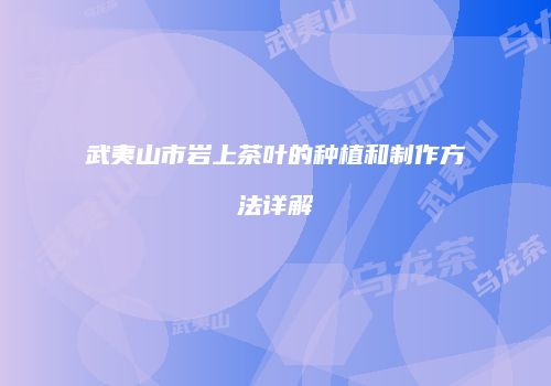 武夷山市岩上茶叶的种植和制作方法详解