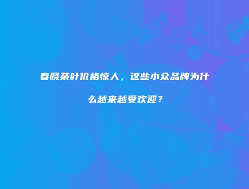 春晓茶叶价格惊人，这些小众品牌为什么越来越受欢迎？