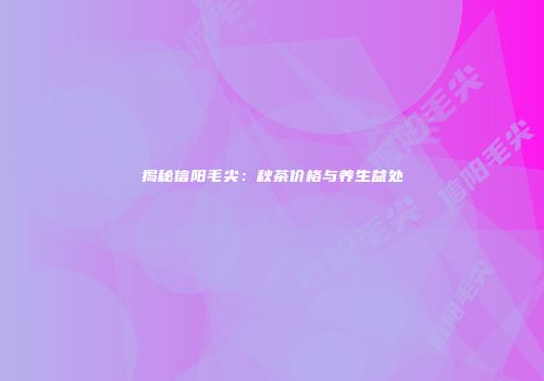 揭秘信阳毛尖：秋茶价格与养生益处