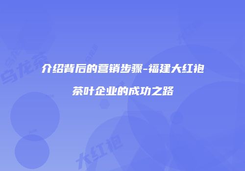 介绍背后的营销步骤-福建大红袍茶叶企业的成功之路