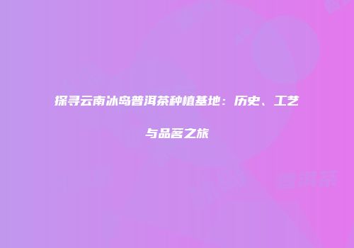 探寻云南冰岛普洱茶种植基地：历史、工艺与品茗之旅