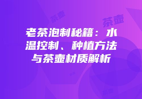老茶泡制秘籍：水温控制、种植方法与茶壶材质解析