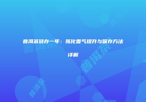 普洱茶袋存一年：陈化香气提升与保存方法详解