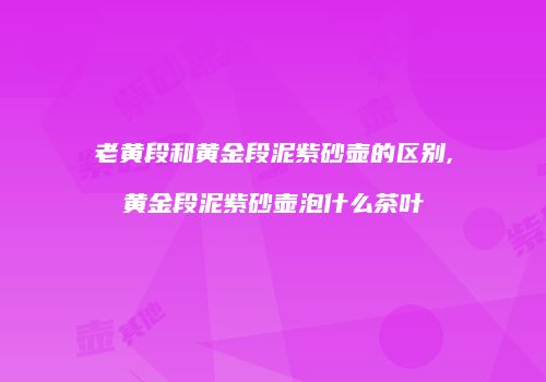 老黄段和黄金段泥紫砂壶的区别,黄金段泥紫砂壶泡什么茶叶
