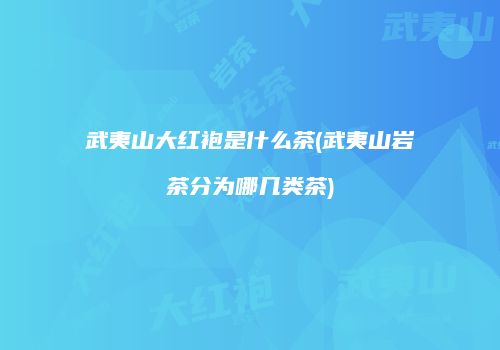武夷山大红袍是什么茶(武夷山岩茶分为哪几类茶)