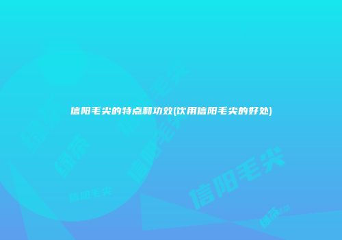 信阳毛尖的特点和功效(饮用信阳毛尖的好处)