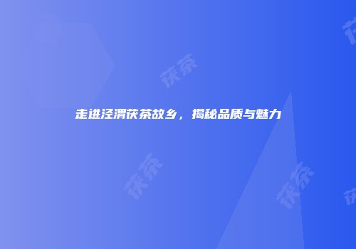 走进泾渭茯茶故乡，揭秘品质与魅力