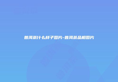 普洱茶什么样子图片-普洱茶品相图片