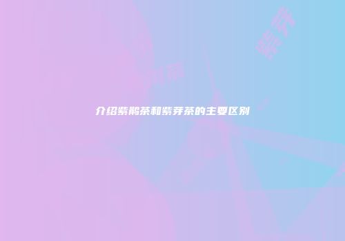 介绍紫鹃茶和紫芽茶的主要区别