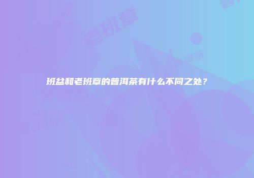 班盆和老班章的普洱茶有什么不同之处？