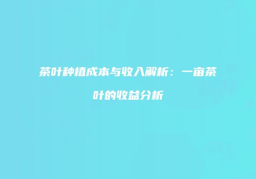 茶叶种植成本与收入解析：一亩茶叶的收益分析