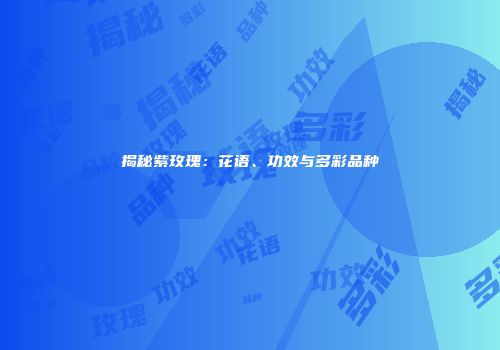 揭秘紫玫瑰：花语、功效与多彩品种