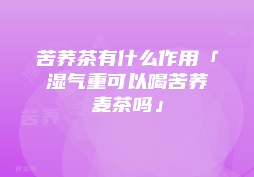 苦荞茶有什么作用「湿气重可以喝苦荞麦茶吗」