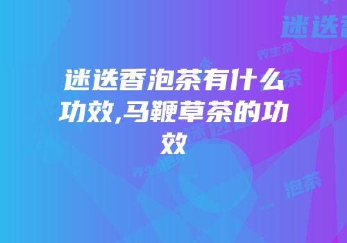 迷迭香泡茶有什么功效,马鞭草茶的功效