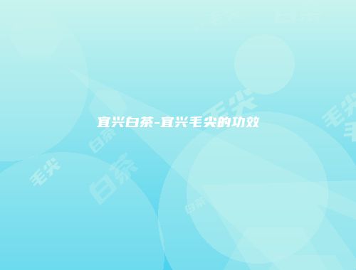 宜兴白茶-宜兴毛尖的功效