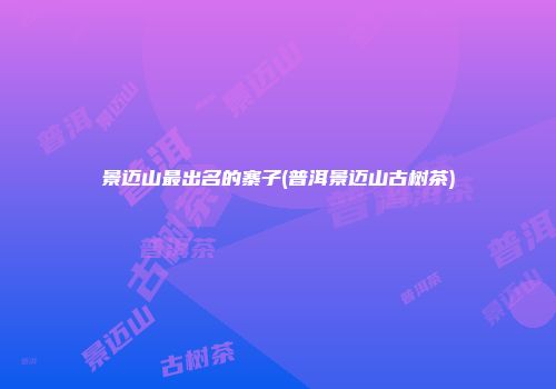 景迈山最出名的寨子(普洱景迈山古树茶)