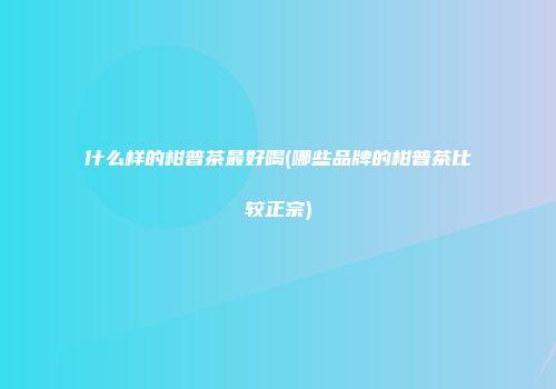 什么样的柑普茶最好喝(哪些品牌的柑普茶比较正宗)
