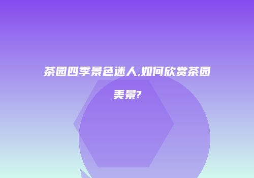 茶园四季景色迷人,如何欣赏茶园美景?