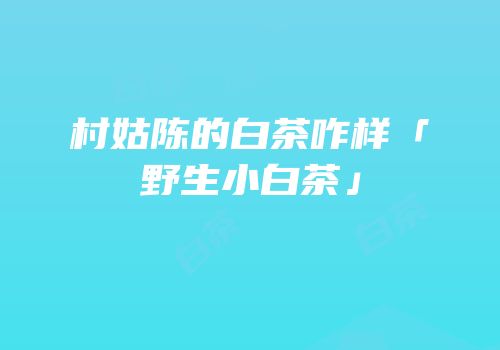 村姑陈的白茶咋样「野生小白茶」