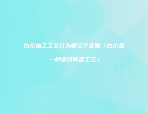 白茶加工工艺分为哪三个步骤「白茶是一种坚持传统工艺」